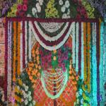 Vraj-Yatra-2014- (622)